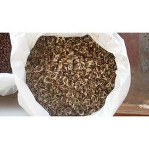 Brown Organic Moringa Conventional Seeds