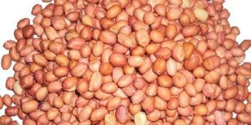 Red Peanut Oil Seeds