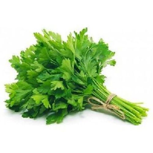 Green Color Parsley Leaves
