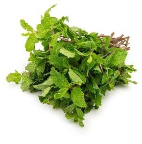 High Nutrition Fresh Mint Leaves