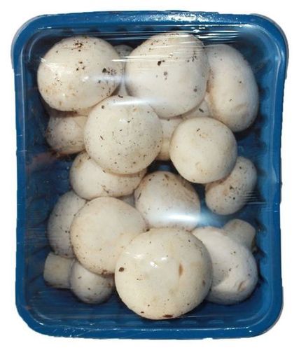 Natural Fresh Button Mushroom