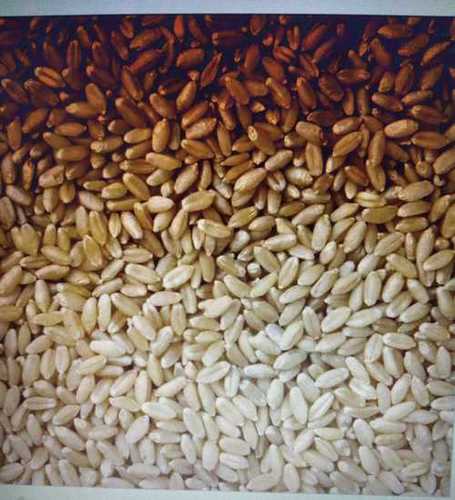 Organic Natural Whole Wheat