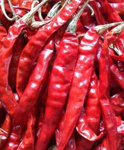 Sun Dry Red Chilli