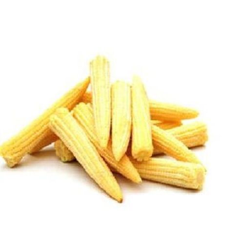 Yellow Color Fresh Baby Corn