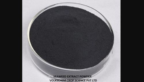 Agriculture Grade Seaweed Extract Powder