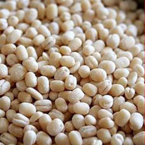 Common High Protein Urad Dal