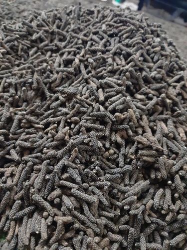 Black Long Pepper Or Pipli