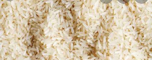 Short Grain White Rice