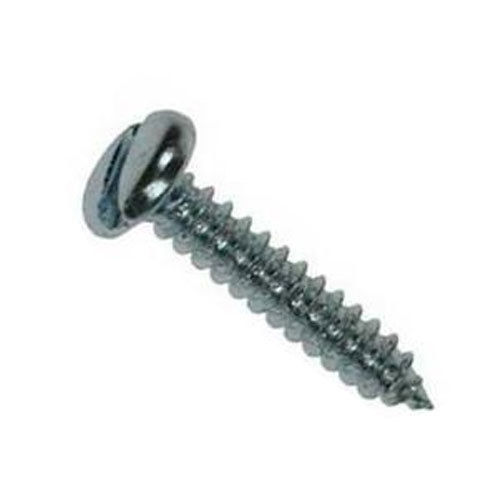 Polished Stainless Steel Slotted Pan Head Screw