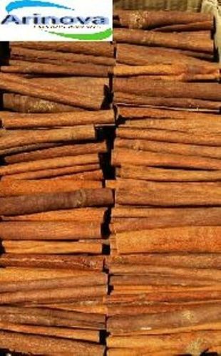 Sun Drying Cinnamon Stick