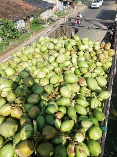  100% प्राकृतिक सूखा नारियल