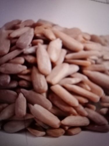 Brown Sunflower Seeds