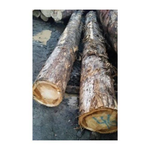 Dark Brown Teak Timber Size: Up To 16 Feet.