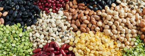 Common Organic Natural Indian Pulses