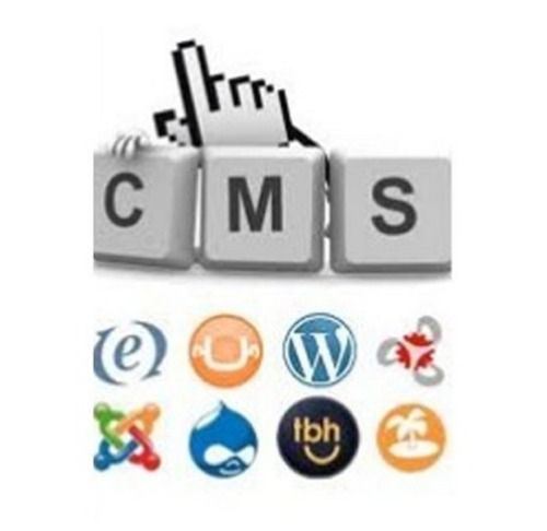 CMS Web Development Services