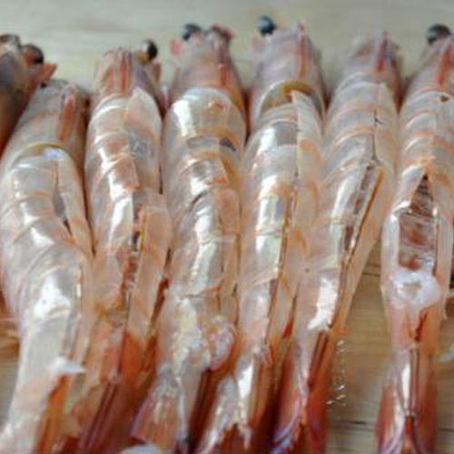 Ocean Dried Shrimp Shellfish By Viet Delta