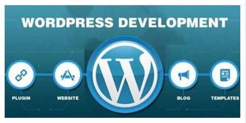 WordPress Development Service - PHP/JavaScript Based Static E-commerce Solutions | Flexible Online and Offline Service Options for 1-12 Months