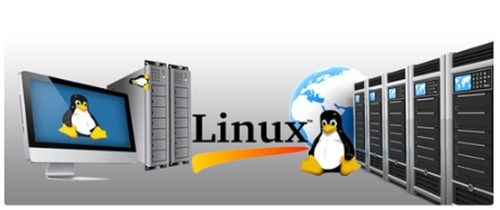 Linux Server Hosting Service