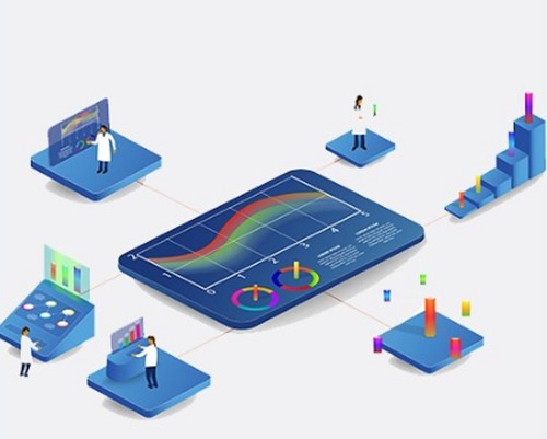 Dynamic Development Service in Pan India