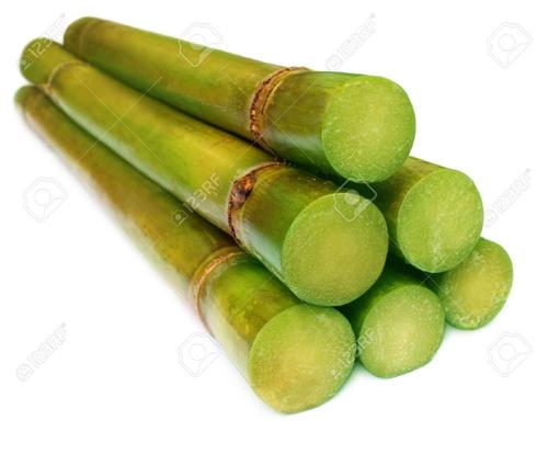 Yellow Excellent Quality Frozen Sugarcane