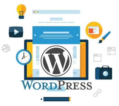Wordpress Development Service