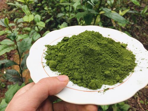 High Quality Certified Organic Matcha Green Tea Powder