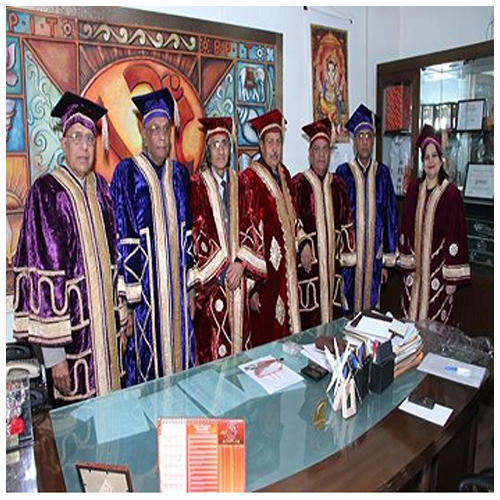 Professional Institutions Convocation Gown