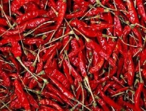 Dried Red Chilli