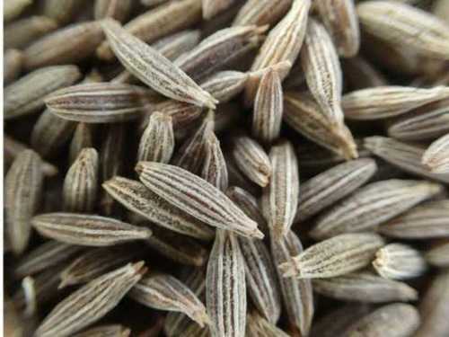 Light Brown Cumin Seeds