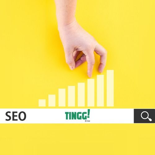 Tingg Advanced SEO Services