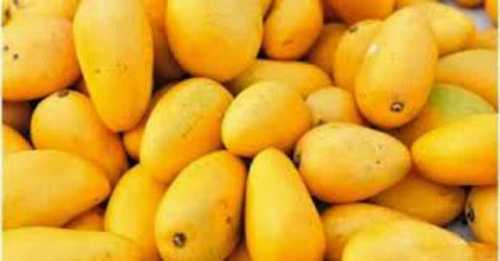 Beverage Delicious Sweet Fresh Mangoes