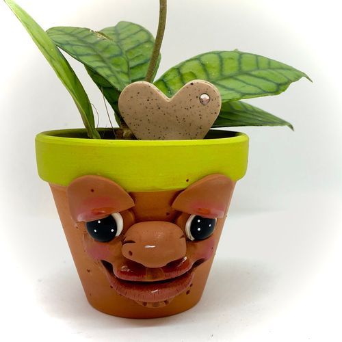 Terracotta Face Vases For Plant