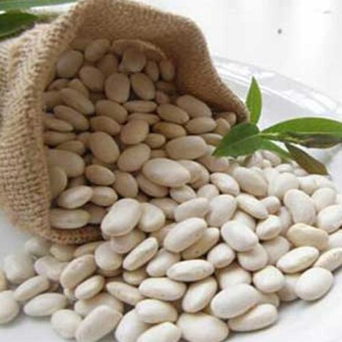 White Kidney Bean Extract - 100% Natural, Highly Effective | Good Quality, Store in Cool and Dry Place