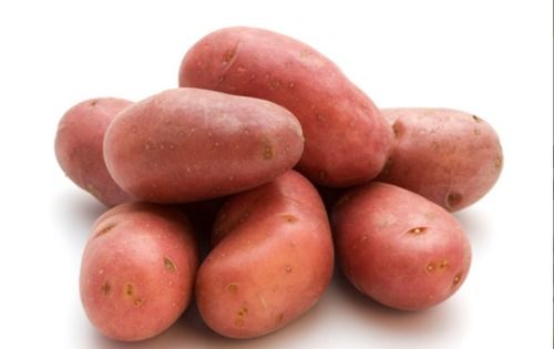 Fresh Red LR Potato
