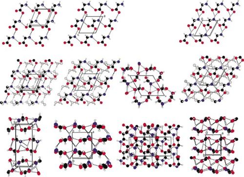 Glycine Crystal