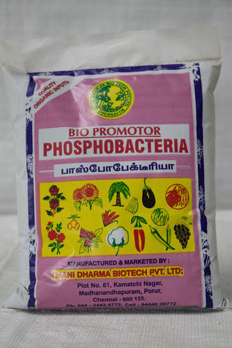 White Phosphobacteria Bio Fertilizer