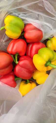 Red Yellow Capsicum Bell Pepper Shelf Life: 1 Years