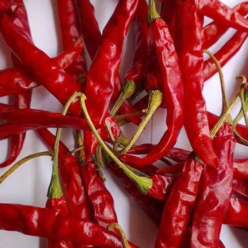 Natural Good Taste Byadgi Chilli