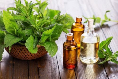 Natural Pure Peppermint Oil Cas No: 8006-90-4