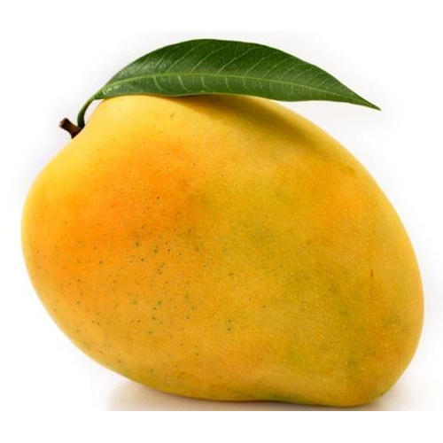 Farm Fresh Yellow Mango - Organic Grade A Plus, Sweet Yellow Alphonso & Banganapalli Variety, Freezer Safe