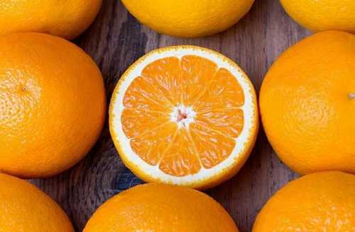 Organic Hand Picked Fresh Orange