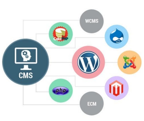 CMS Designing Services