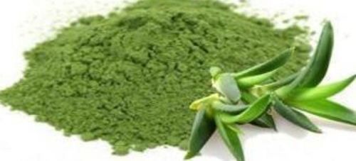 Dried Aloe Vera Powder Ingredients: Herbal Extract