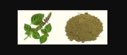Herbal Tulsi Plant Powder