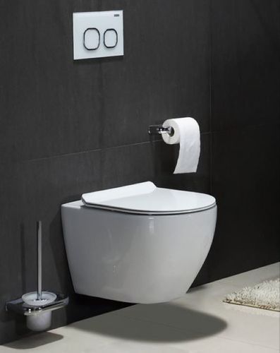 wall hung toilet