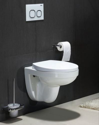 wall hung toilet