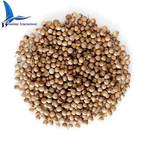 Brown Dried Coriander Seeds