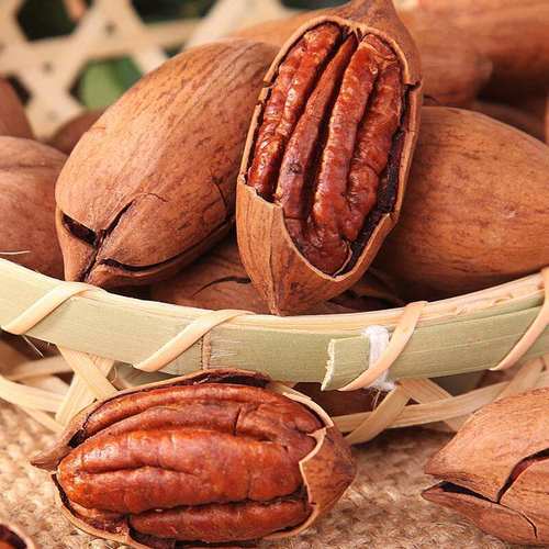 Organic Fresh Pecan Nuts