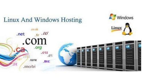 Linux And Windows Hosting Services