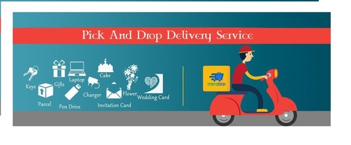 Silicone Courier Pick And Drop Service